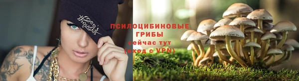 spice Переславль-Залесский
