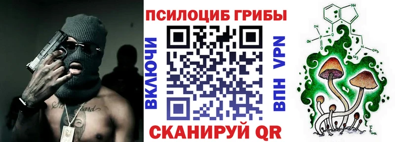 Псилоцибиновые грибы Psilocybine cubensis как найти закладки Боготол
