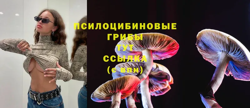 Галлюциногенные грибы Magic Shrooms Боготол